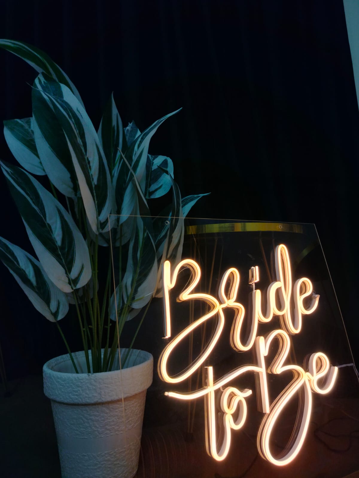 Neon Sign Lights